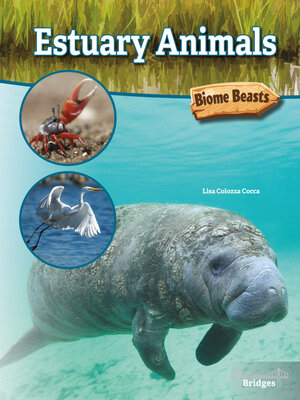 cover image of Estuary Animals